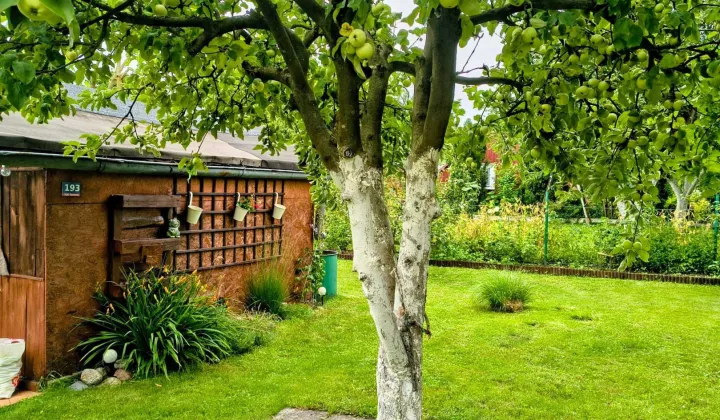 Działka rod Dankowo