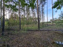 Działka budowlana Budy-Grzybek. Zdjęcie 2
