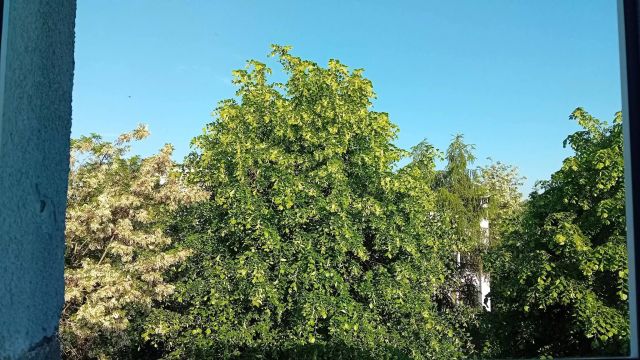 Mieszkanie 2-pokojowe Łódź Karolew, ul. Krzemieniecka. Zdjęcie 1