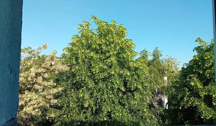 Mieszkanie 2-pokojowe Łódź Karolew, ul. Krzemieniecka