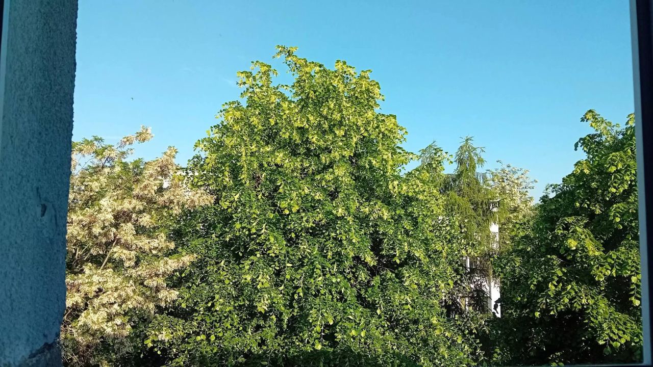 Mieszkanie 2-pokojowe Łódź Karolew, ul. Krzemieniecka. Zdjęcie 1