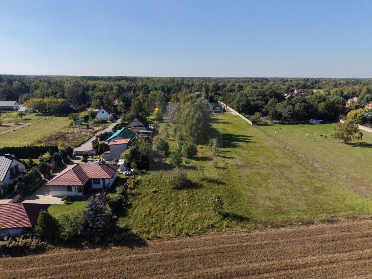 Działka inwestycyjna Budy-Grzybek, ul. Potockiego. Zdjęcie 6
