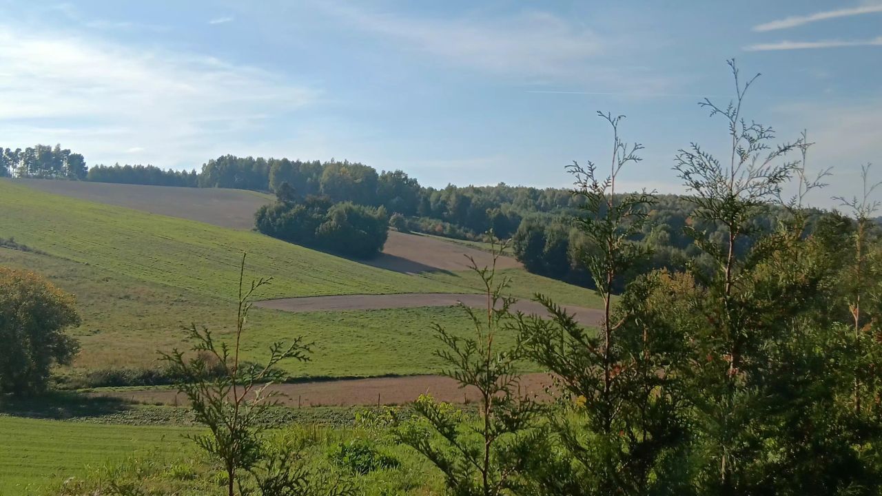 dom wolnostojący, 4 pokoje Ociesęki Madeje. Zdjęcie 10