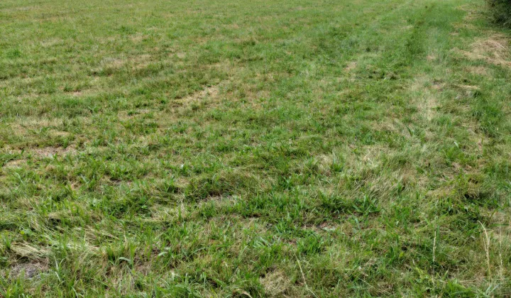 Działka budowlana Niwiska Uwrocie