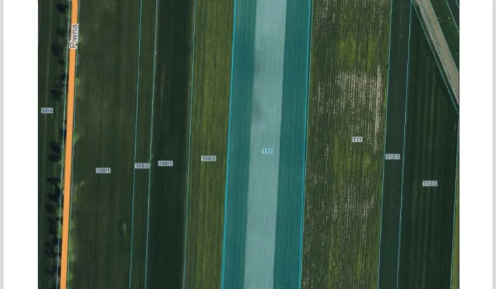 Działka rolna Strzelce Wielkie