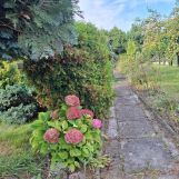 Działka rod Piekary Śląskie. Zdjęcie 4