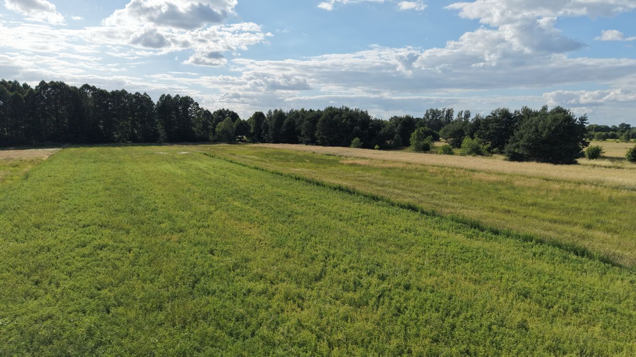 Działka budowlana Pławno, ul. Częstochowska. Zdjęcie 13
