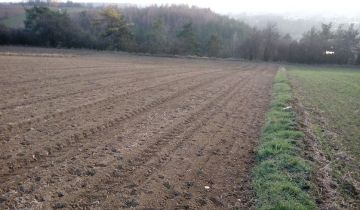 Działka rolna Wilczkowice
