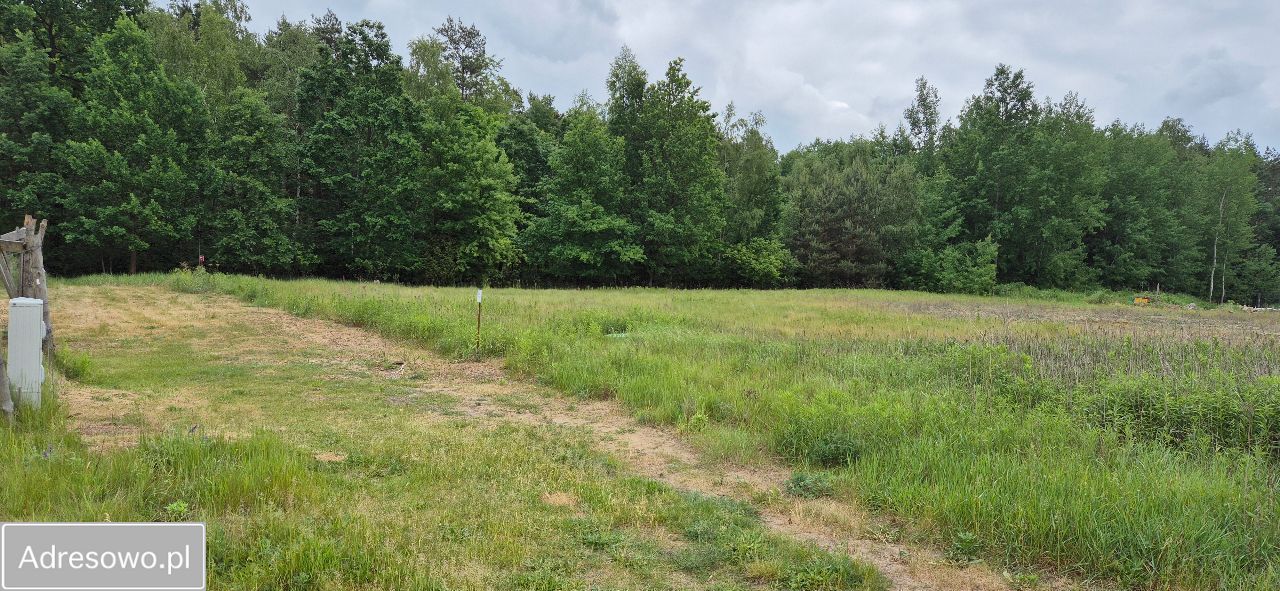 Działka budowlana Wilczeniec Fabiański. Zdjęcie 3