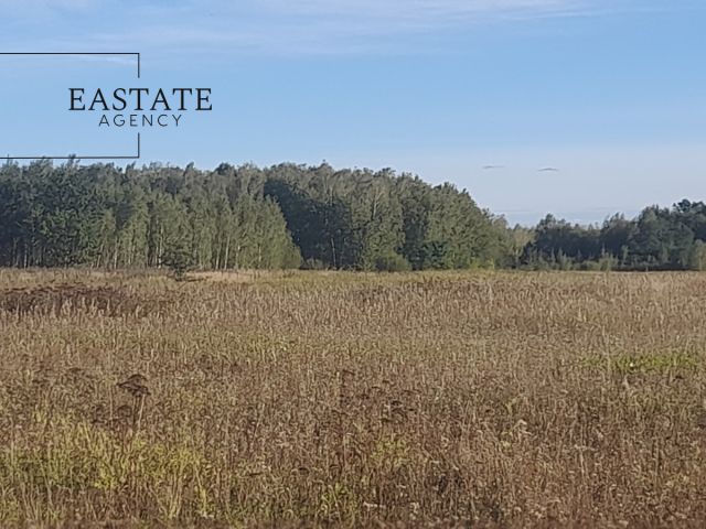 Działka budowlana Prażmów. Zdjęcie 3