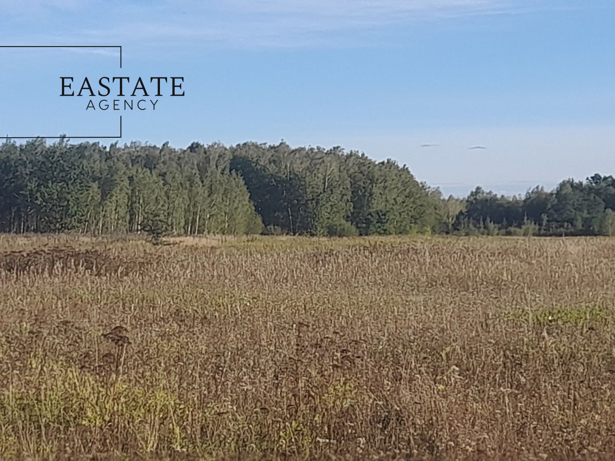 Działka budowlana Prażmów. Zdjęcie 3