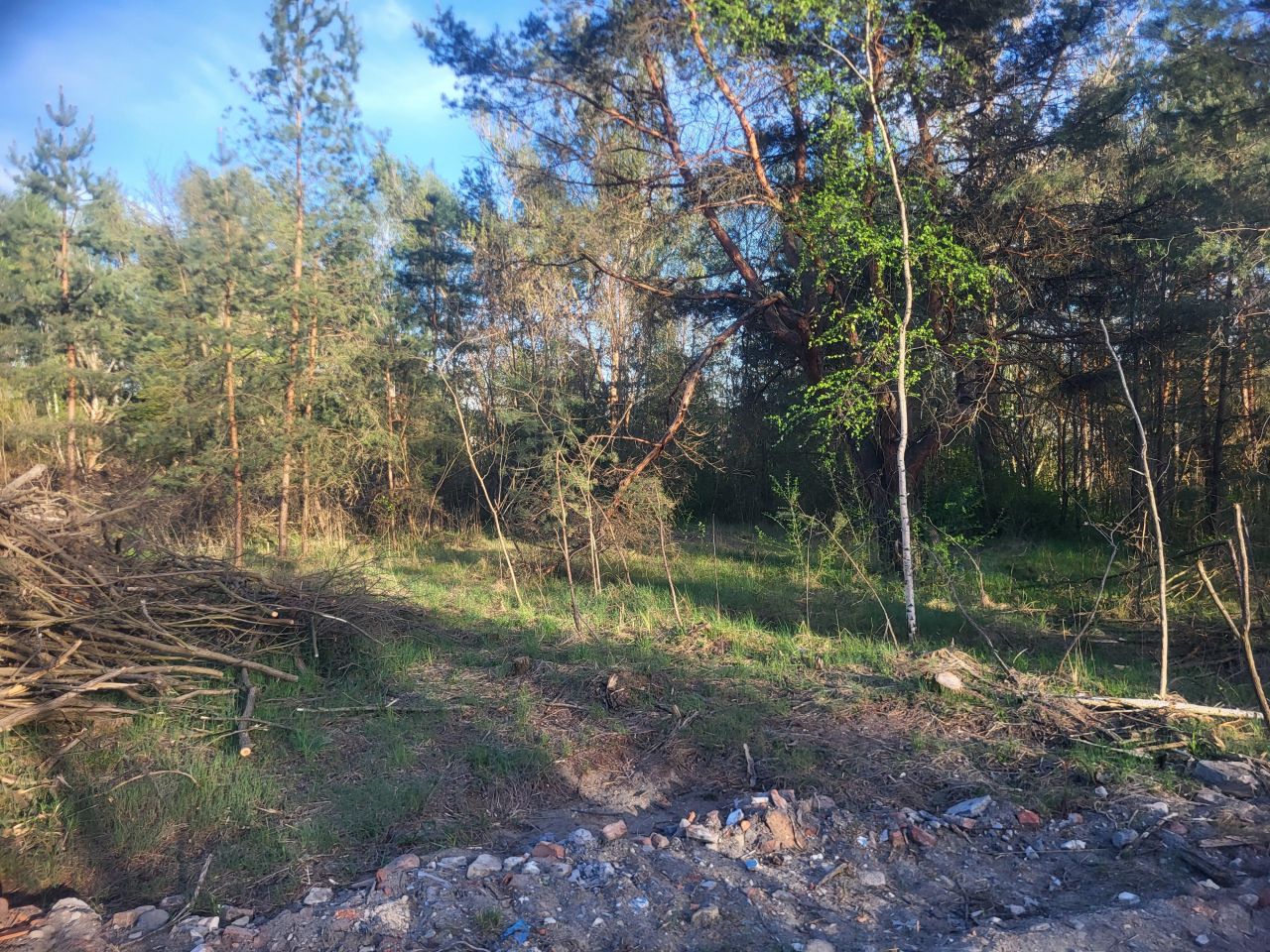 Działka budowlana Dąbrowa Górnicza Sikorka, ul. Szpakowa. Zdjęcie 2