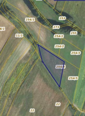 Działka siedliskowa Potaśnia. Zdjęcie 1