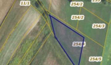 Działka siedliskowa Potaśnia