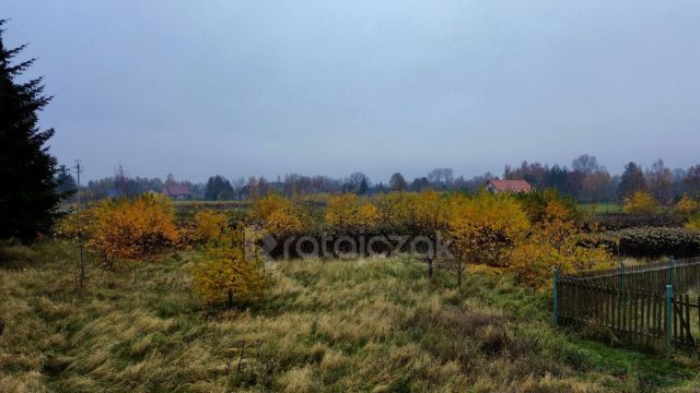 Działka inwestycyjna Drewnica, ul. Kasztanowa. Zdjęcie 14