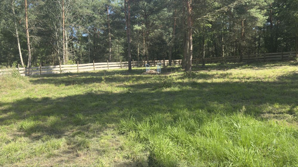 Działka rekreacyjna Kwik. Zdjęcie 6