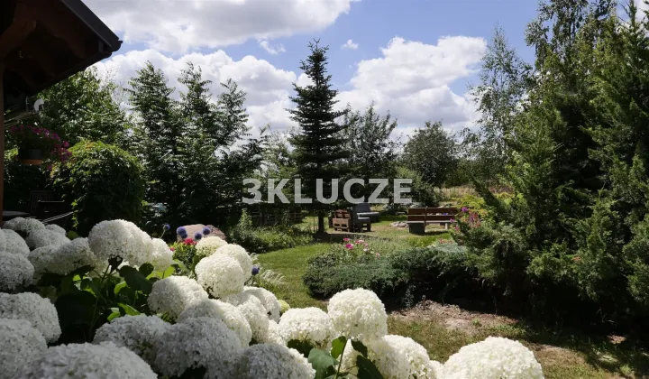 dom, 5 pokoi Boduszyn