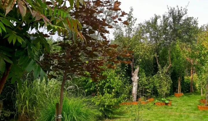Działka rod Wrocław Strachowice, ul. Strachowicka