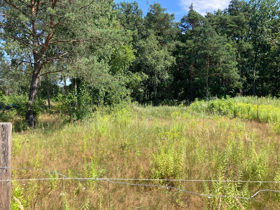 Działka budowlana Gronówko, os. Leśna Podkowa. Zdjęcie 4