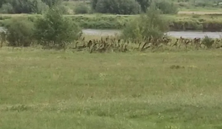 Działka budowlana Granne