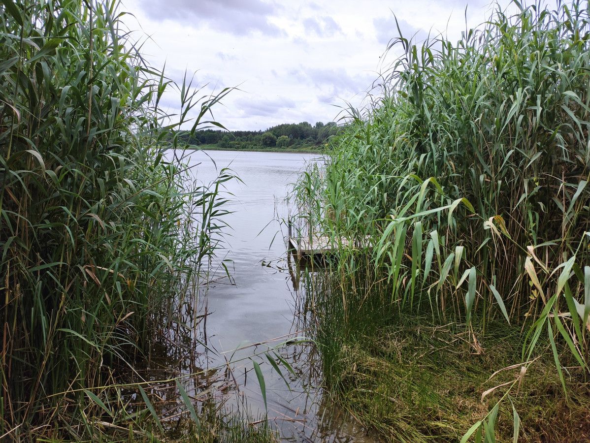 Działka budowlana Dębnica. Zdjęcie 3