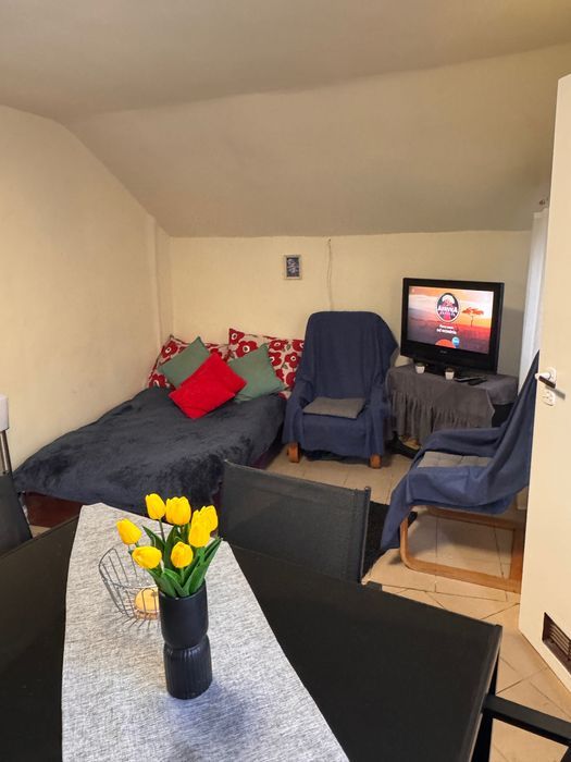 Działka rod Włocławek, ul. Rybnicka. Zdjęcie 5