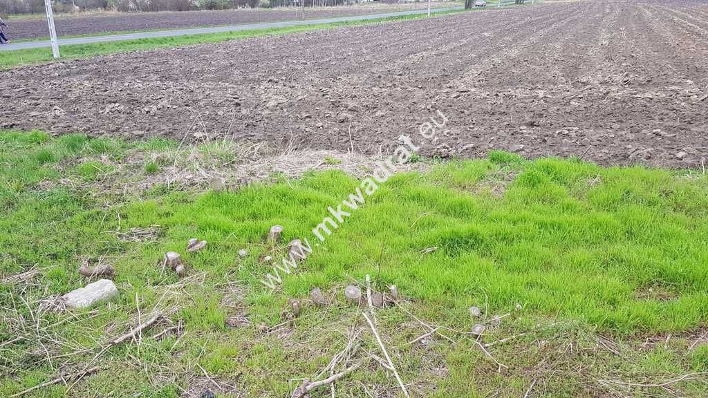 Działka budowlana Leszno. Zdjęcie 9