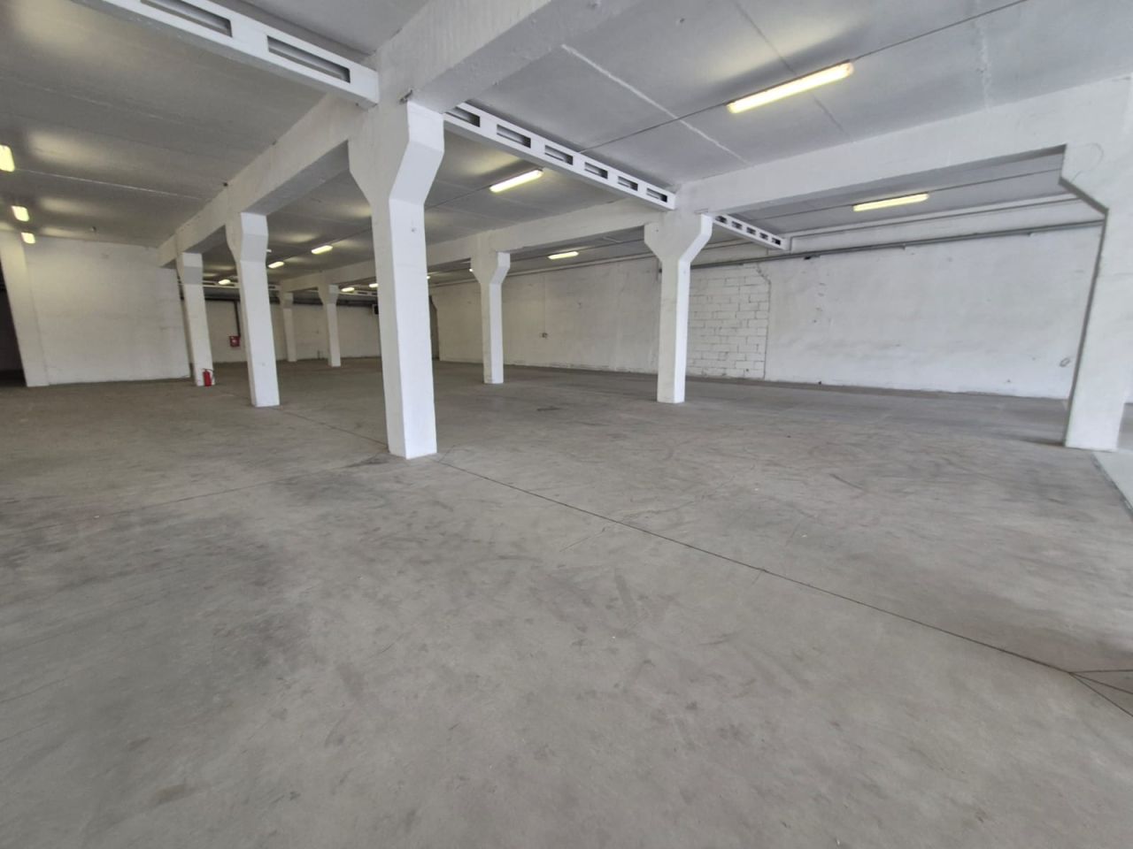 Hala/magazyn Ozorków, Łęczycka. Zdjęcie 14