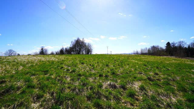 Działka rolno-budowlana Biecz. Zdjęcie 8