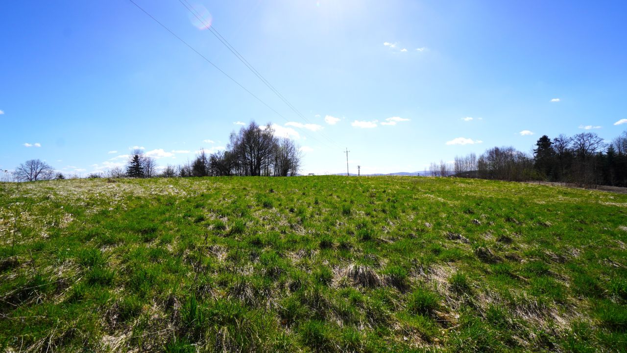 Działka rolno-budowlana Biecz. Zdjęcie 8