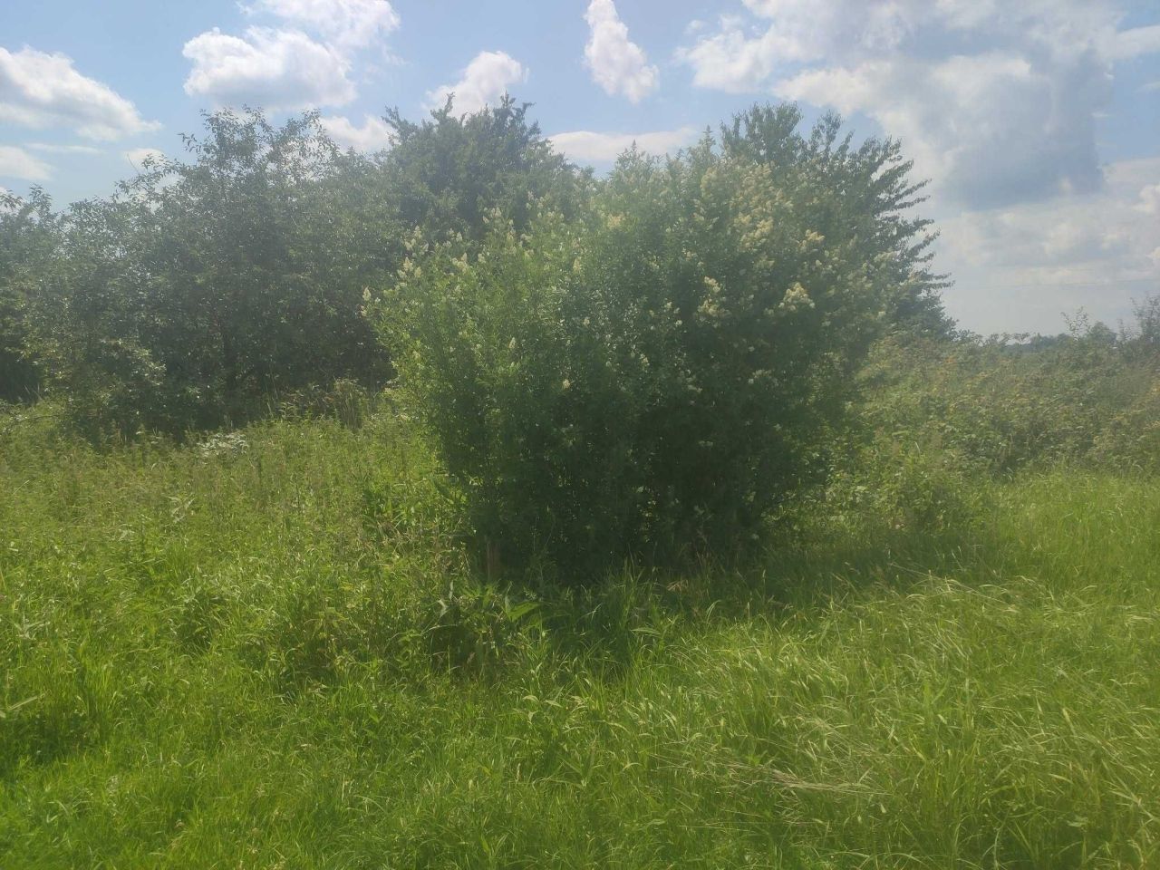 Działka rod Nowy Dwór Gdański. Zdjęcie 6