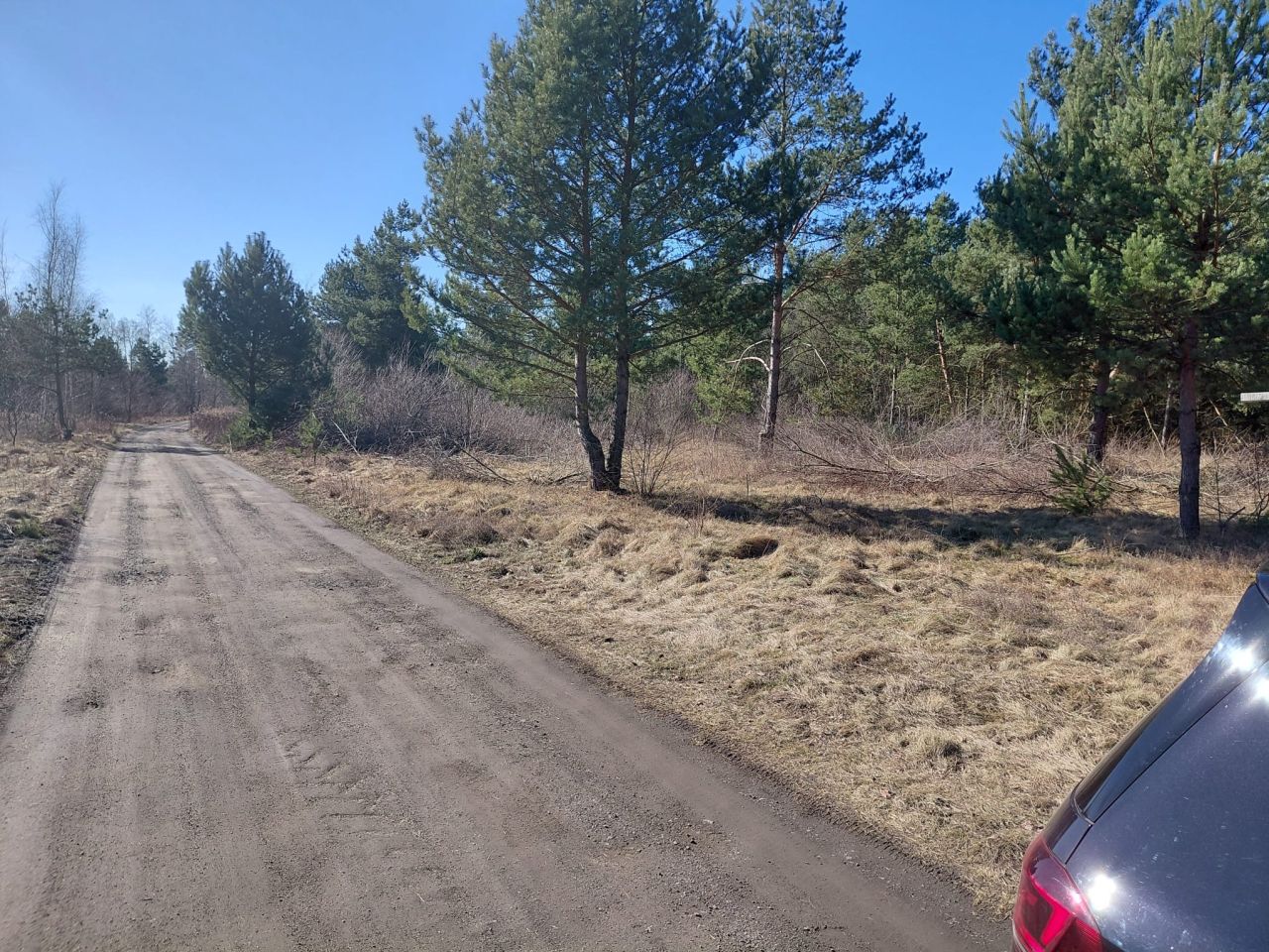 Działka rolno-budowlana Rościce. Zdjęcie 8