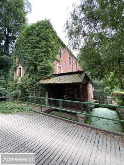 Nieruchomość komercyjna Słonów. Zdjęcie 2