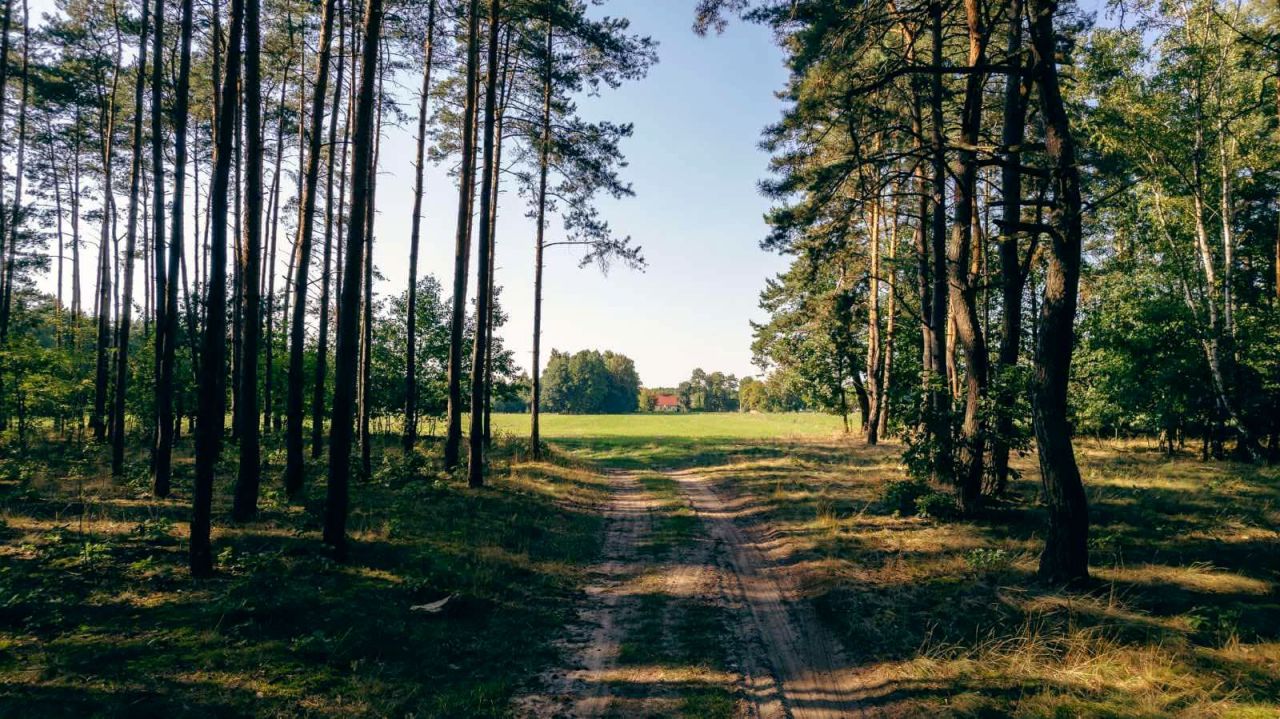 Działka budowlana Skrzynka. Zdjęcie 5