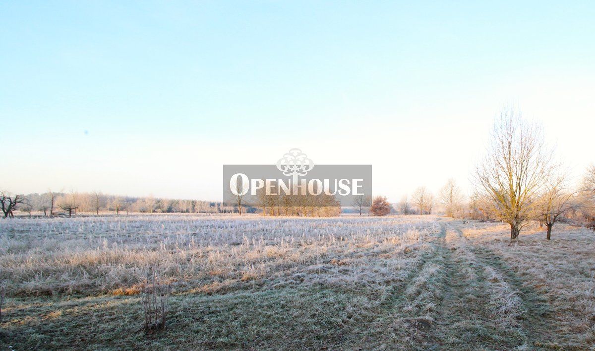 Działka rolno-budowlana Radwanów. Zdjęcie 2