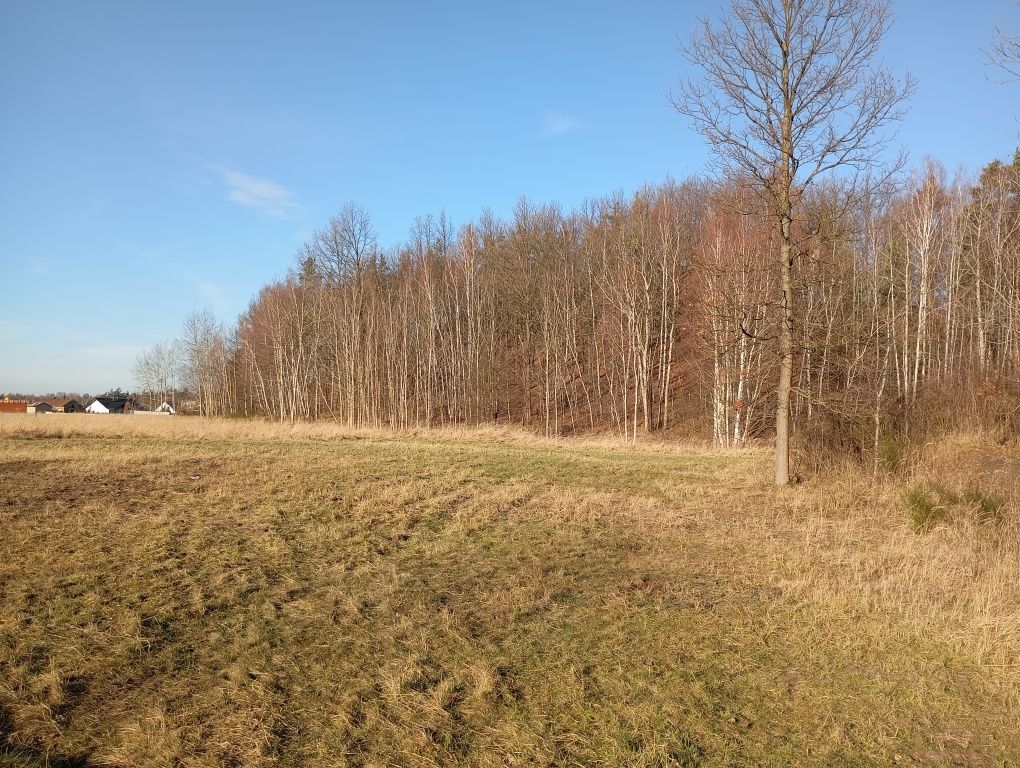 Działka budowlana Kolonia Poczesna. Zdjęcie 7