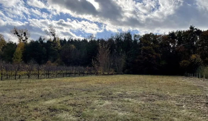 Działka budowlana Kazimierz Dolny Cholewianka