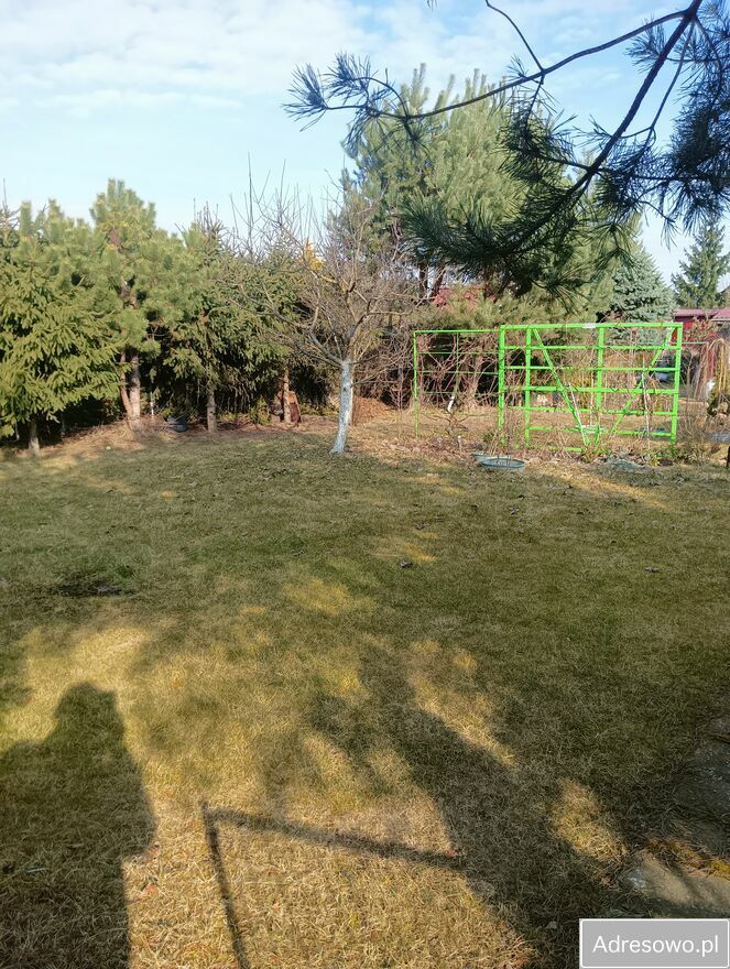 Działka rod Kutno, ul. Grunwaldzka. Zdjęcie 2