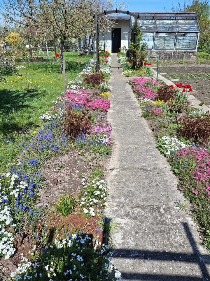 Działka rod Ostrów Wielkopolski, ul. Wysocka. Zdjęcie 4