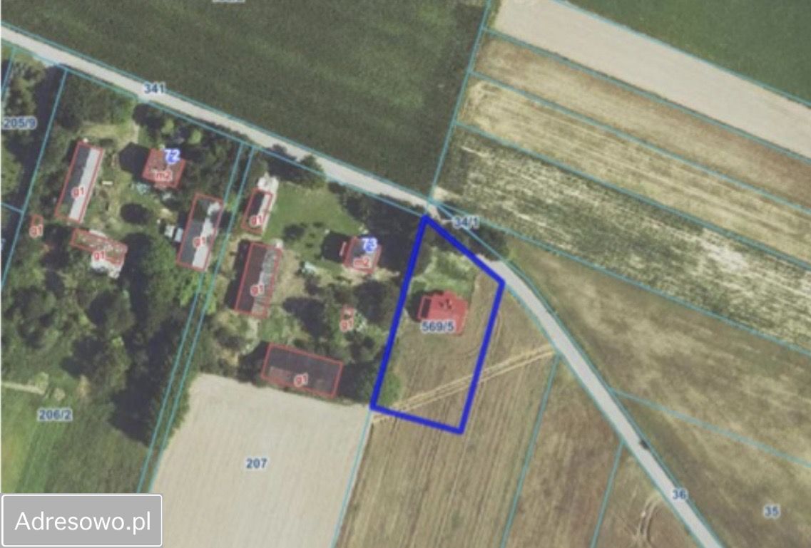 dom wolnostojący, 6 pokoi Bodziejowice. Zdjęcie 6