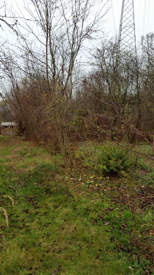 Działka rekreacyjna Lublin Bursaki, ul. Kupiecka