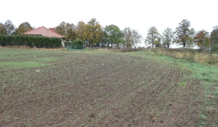 Działka rolna Niedziały