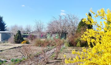 Działka rod Nowa Sól, ul. Wodna