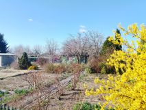 Działka rod Nowa Sól, ul. Wodna