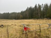 Działka budowlana Wężówka. Zdjęcie 1