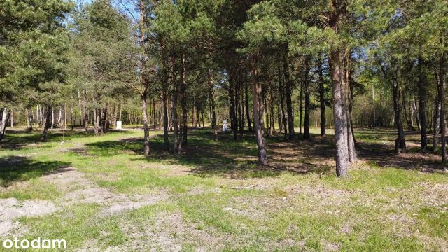 Działka rekreacyjna Podgać. Zdjęcie 5
