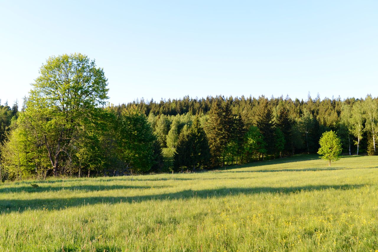 Działka budowlana Bartnica Wyrębina. Zdjęcie 6