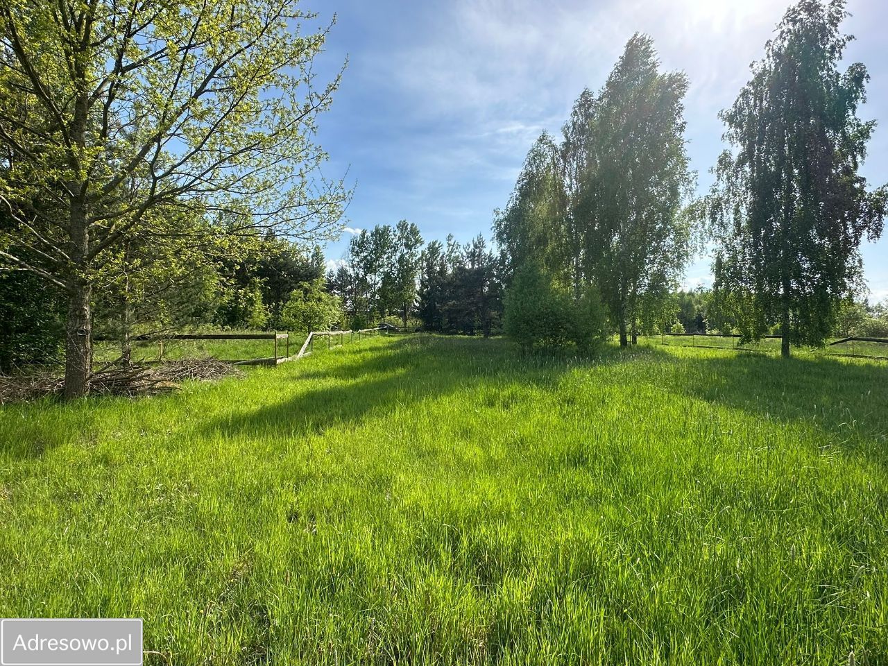 Działka rolna Dubiny. Zdjęcie 11