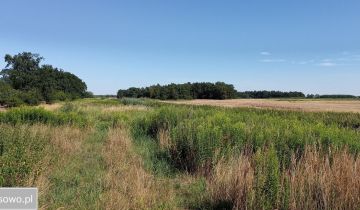 Działka rolna Śliwice