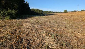 Działka budowlana Serock, ul. Leśna